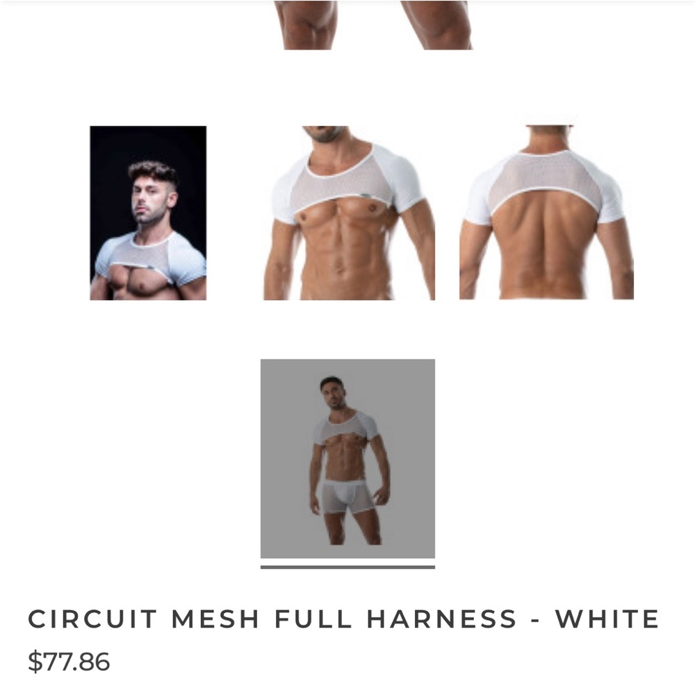 TOF Paris Chest Full Harness Mesh White Crop Top Rave Disco Fetish GoGo Sz M NWT - Picture 10 of 10